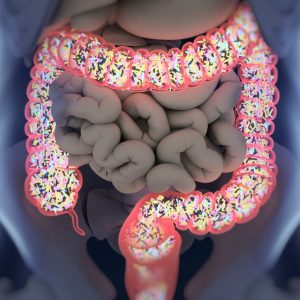 Lee más sobre el artículo Microbiota intestinal y obesidad
